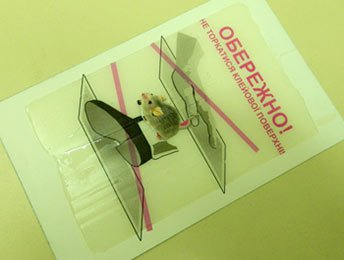 Липкая ловушка для мышей